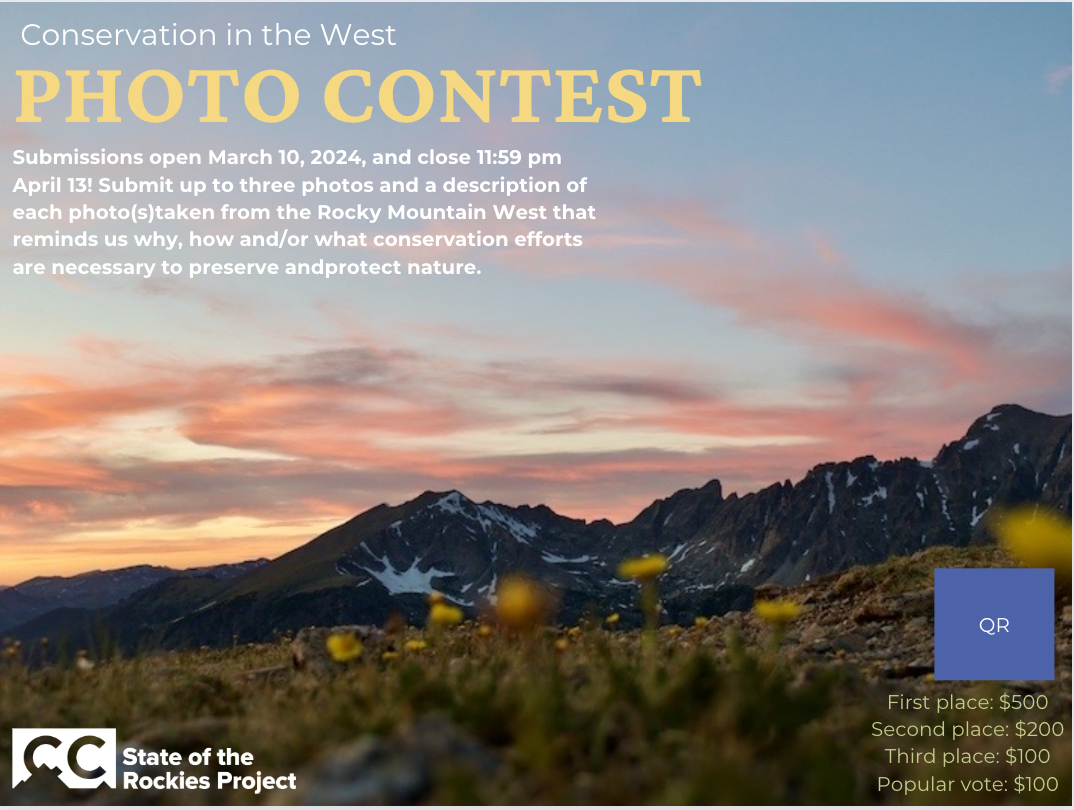  Photo Contest 1
